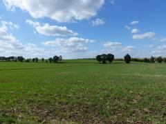 Vorschau Objekt: landwirtschaftliche Fläche 